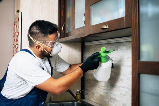 Best Mosquito Control Services  in Cerritos, CA