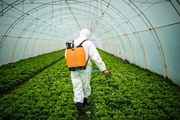 Best Pest Control Treatment  in Cerritos, CA