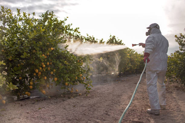 Best Commercial Pest Control Services  in Cerritos, CA