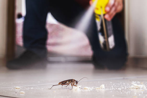 Best Pest Removal Services  in Cerritos, CA